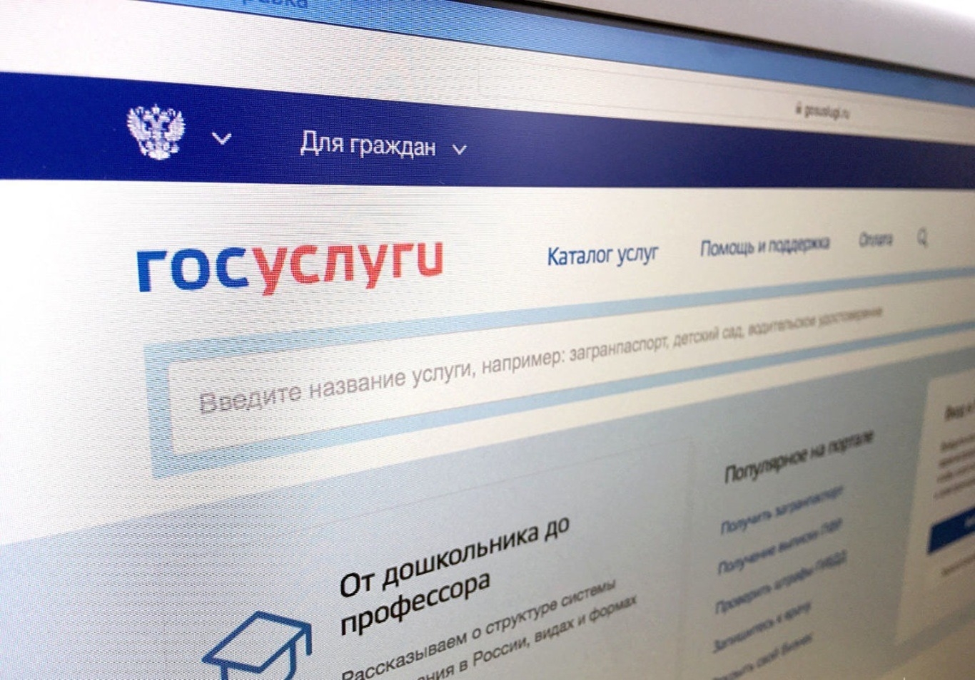 На госуслугах теперь можно обжаловать отказы ФНС России в выдаче лицензий