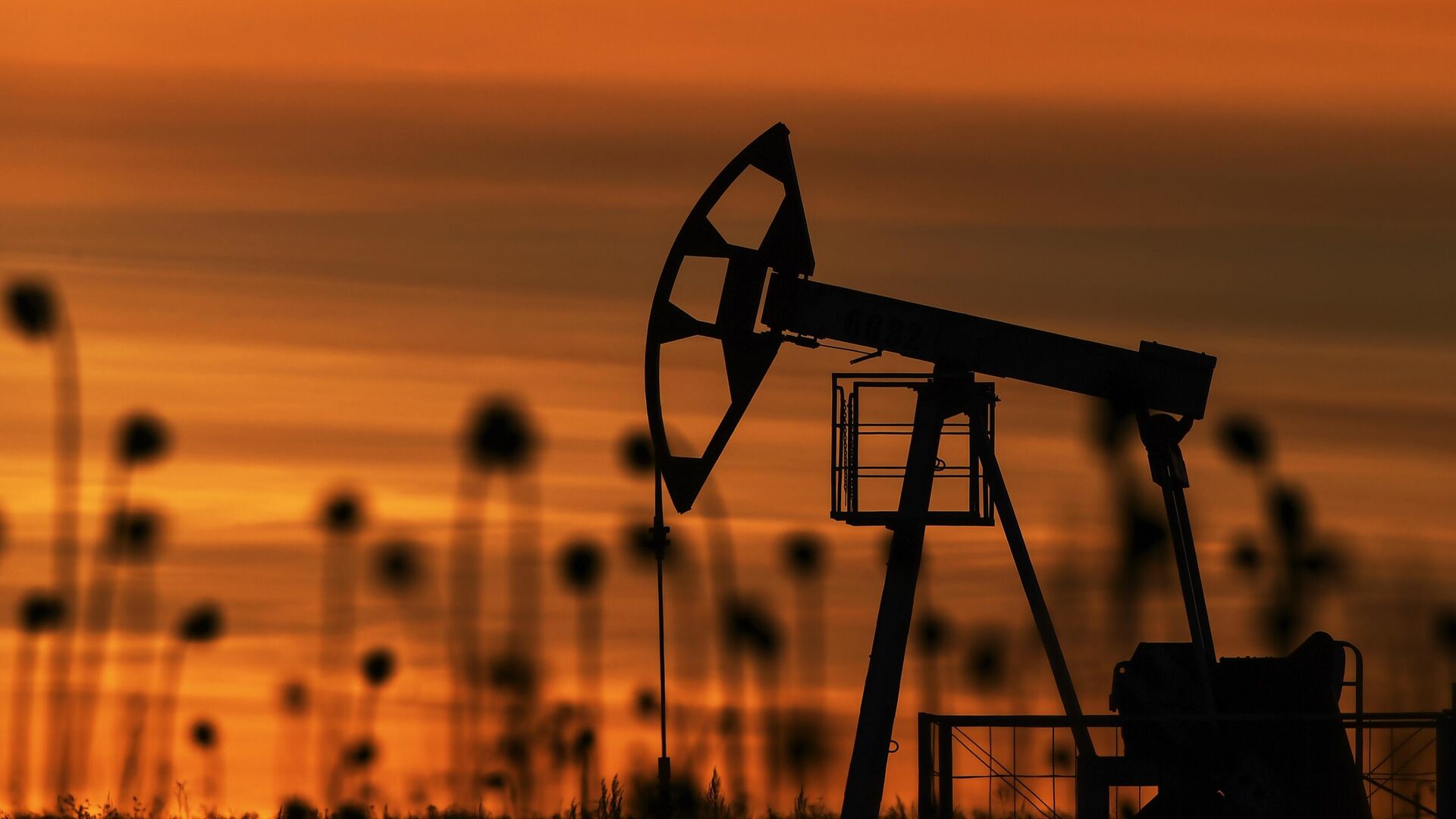 Опубликованы данные для расчёта НДПИ, НДД и акциза на нефтяное
сырье за март 2025 года
