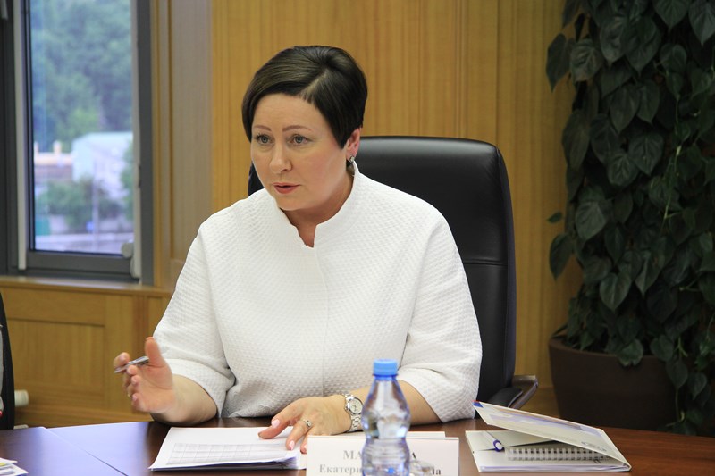 Общественный совет продолжает работу в новом составе, фото 2